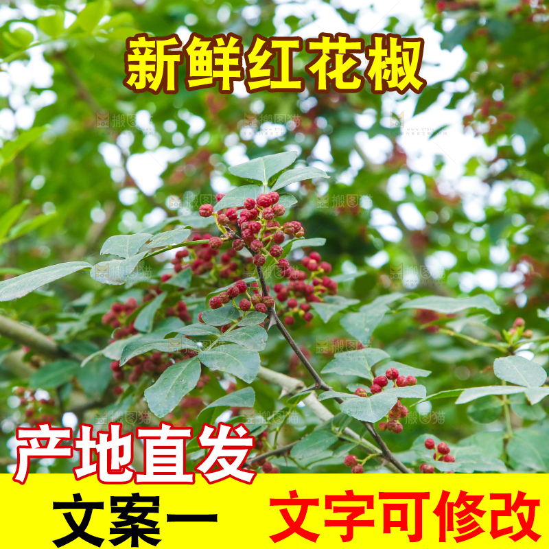 树上的花椒
