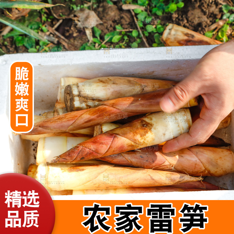 箱子里的雷笋