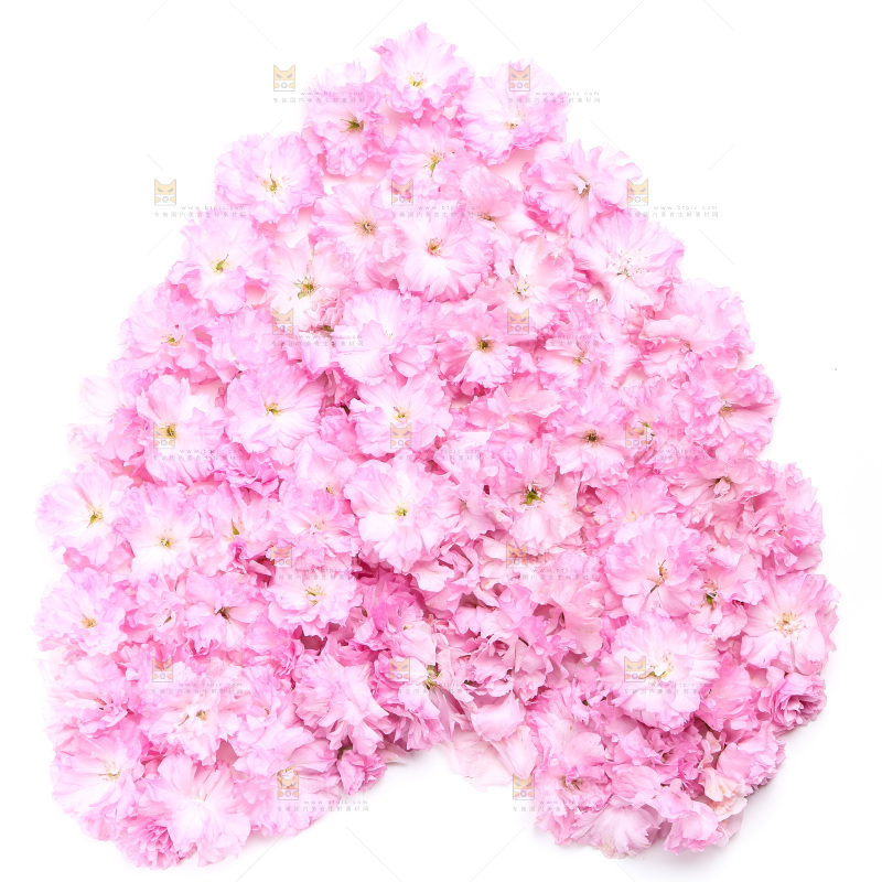 白底上的花朵