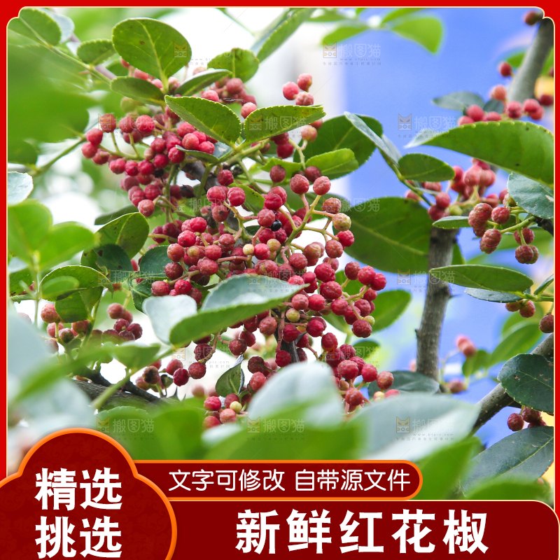 树上的花椒