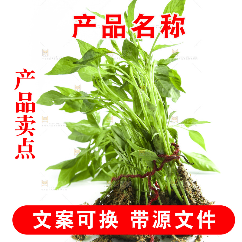白底上放着辣椒苗