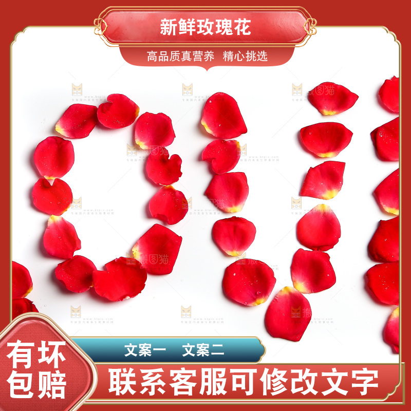 白底上的玫瑰花瓣