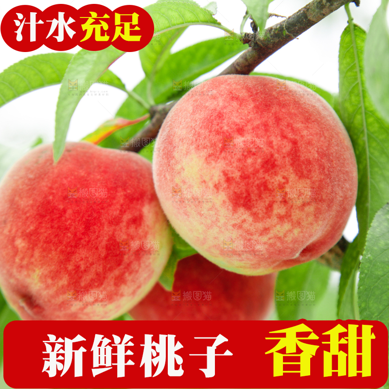 树上挂着桃子