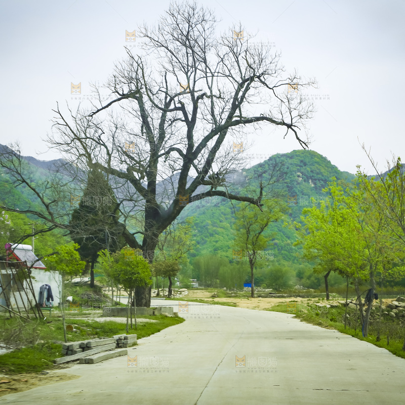 乡间小路