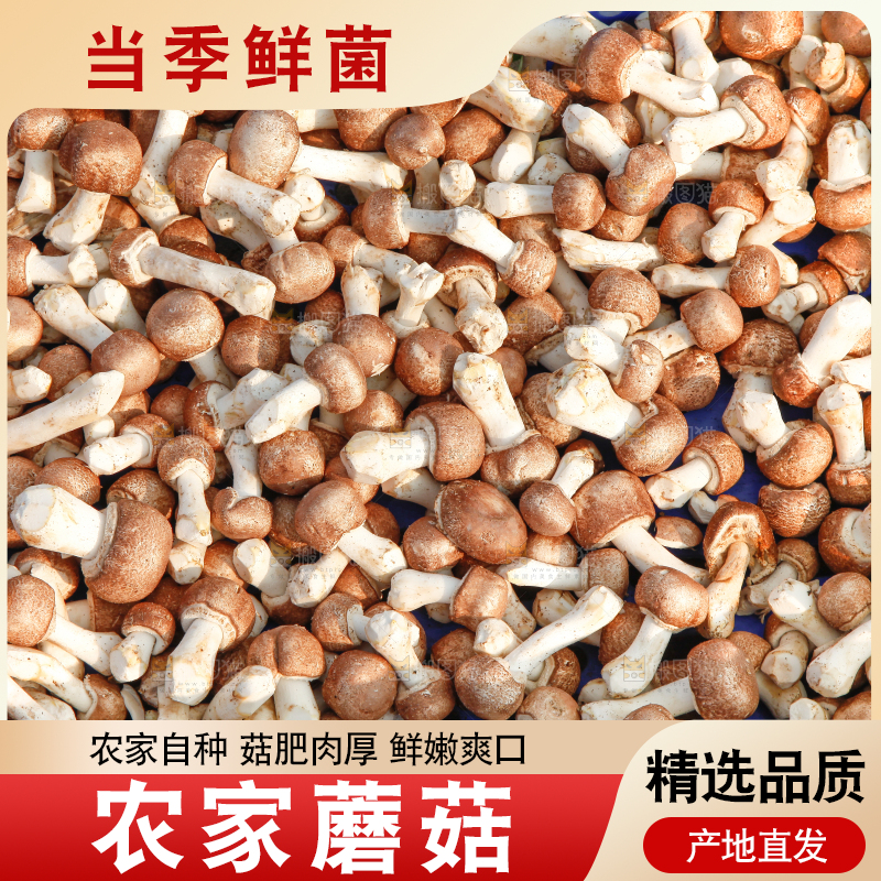 框子里装着蘑菇