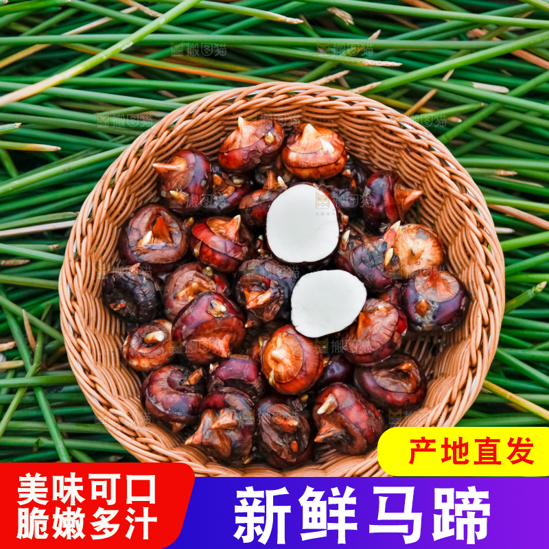 篮子里装着马蹄