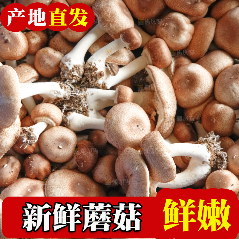 框子里装着小蘑菇