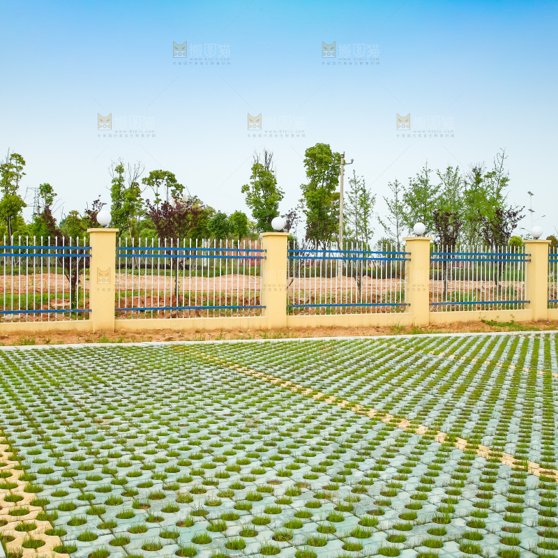 围墙外的一块草地