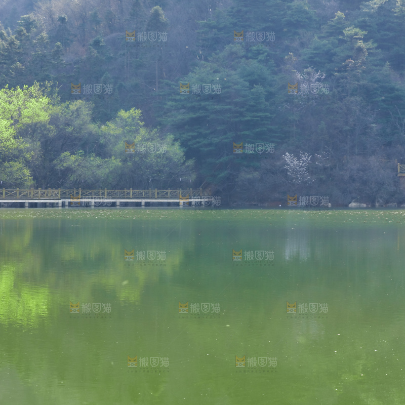 湖泊里的水