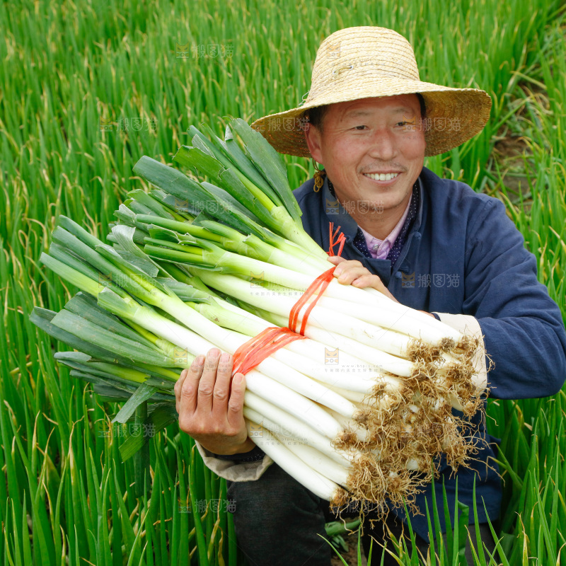 农民手里拿着大葱