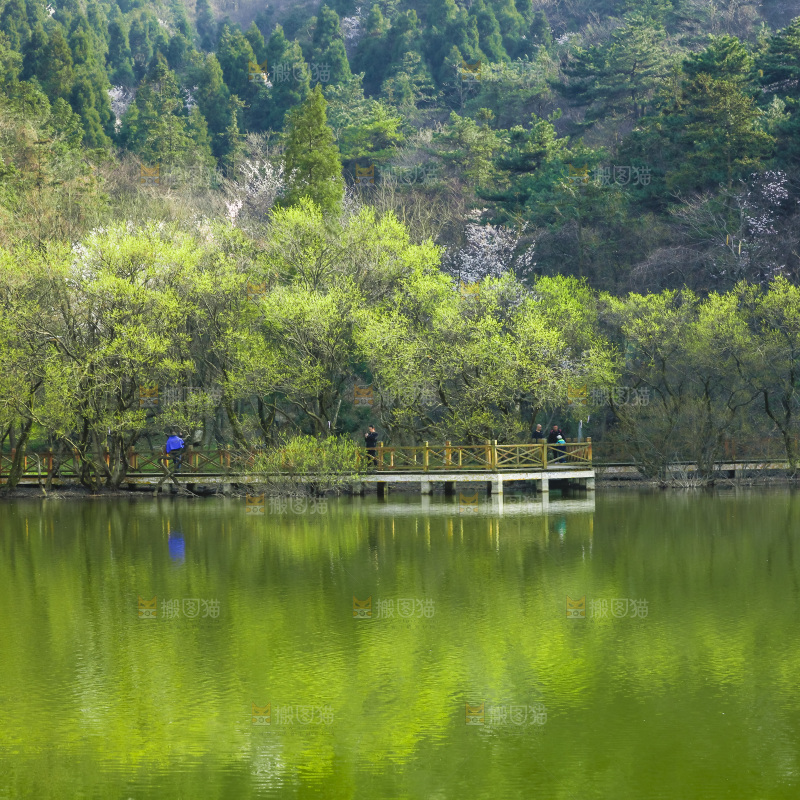 湖泊里的水