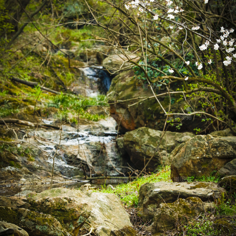 山间流水