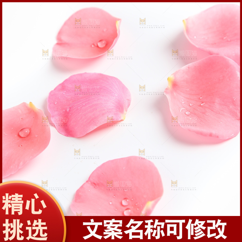 白底上的玫瑰花瓣