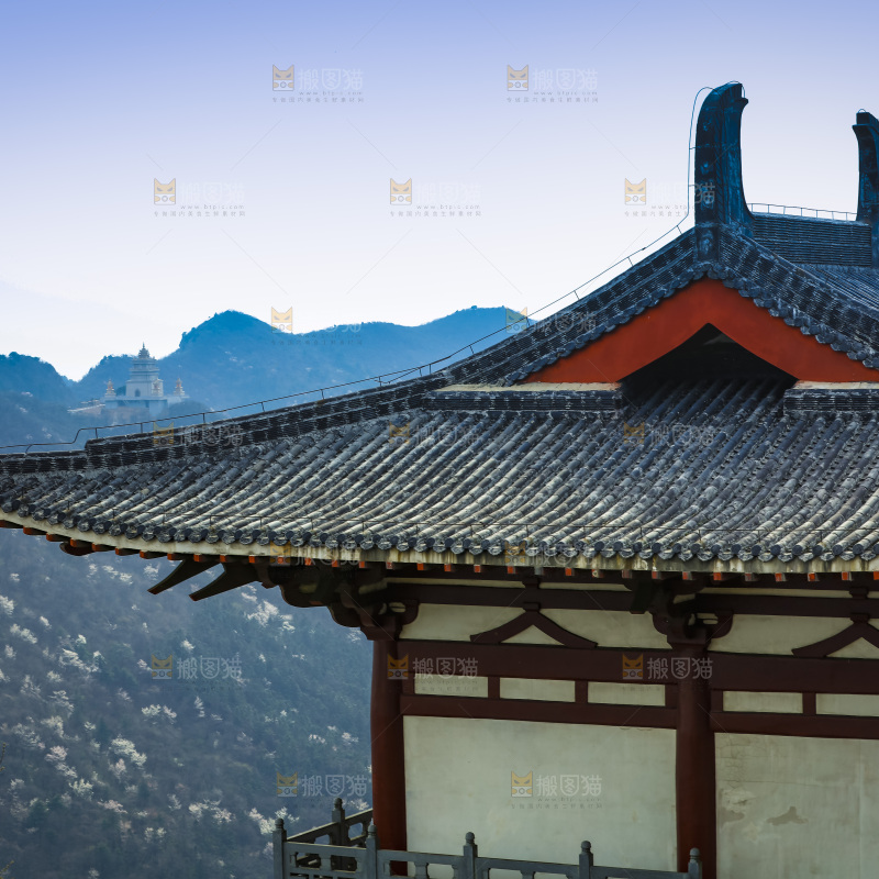 建筑的屋顶