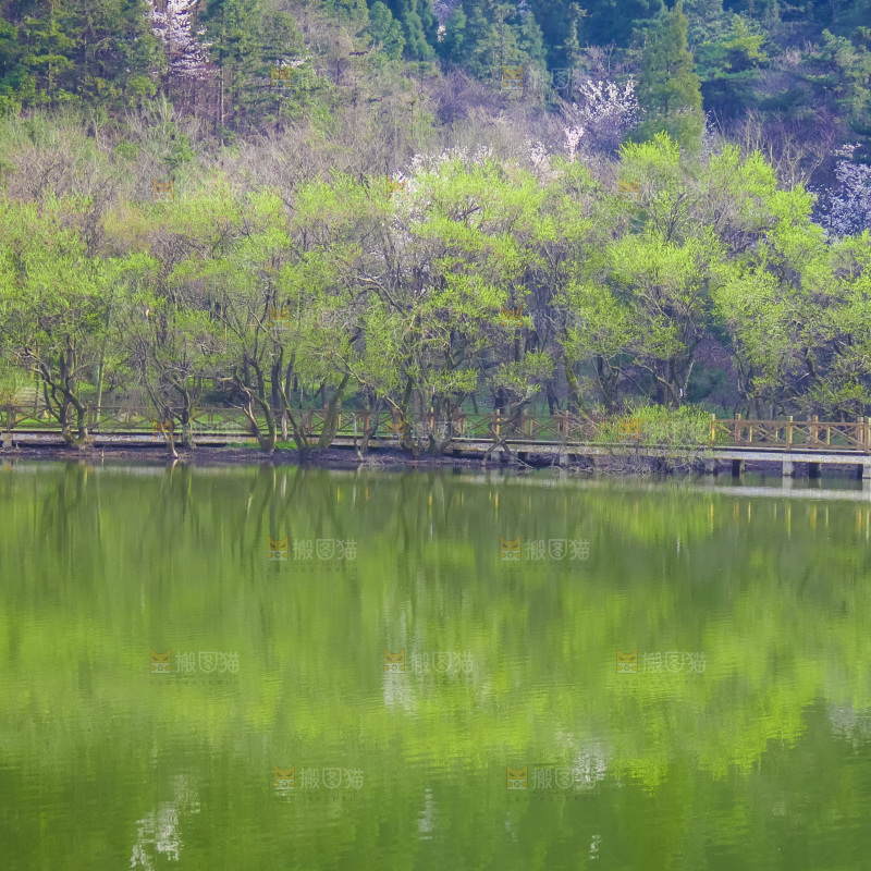 湖泊里的水
