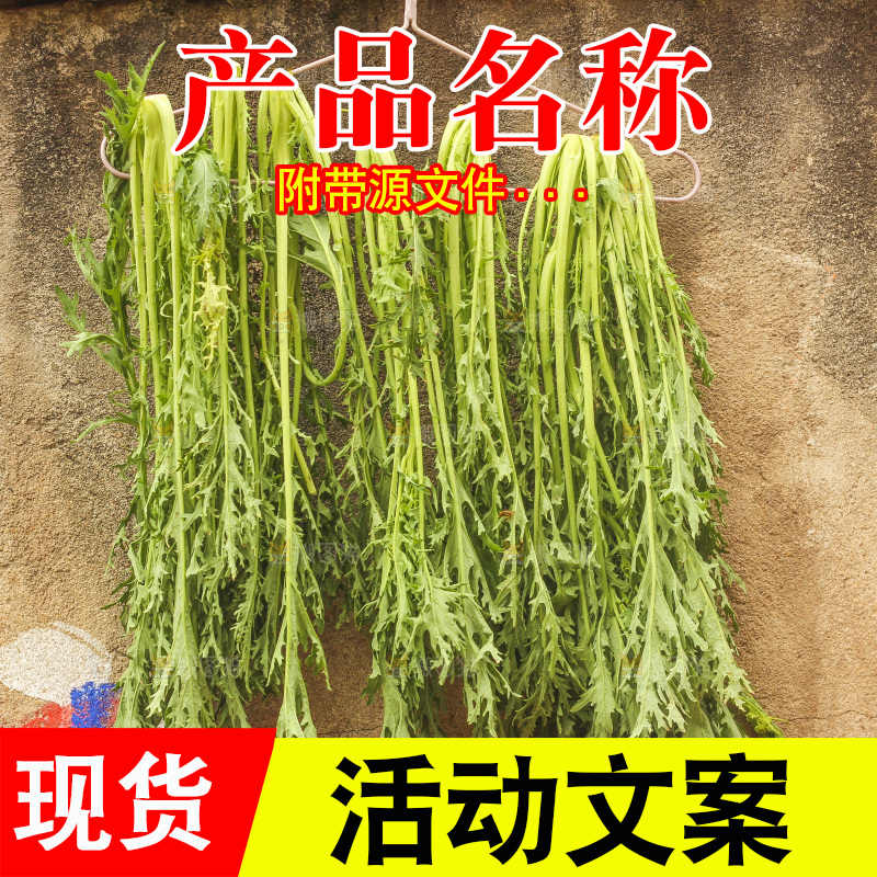 墙上挂着雪里红