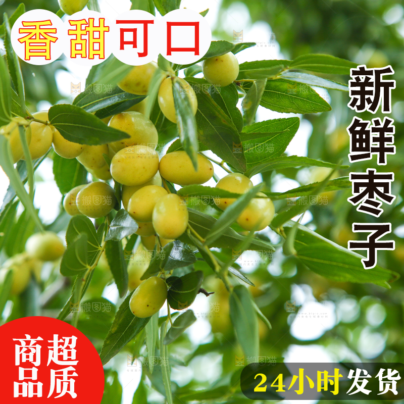 树上的枣子