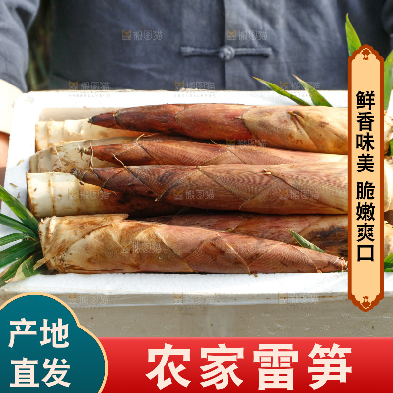 箱子里的雷笋