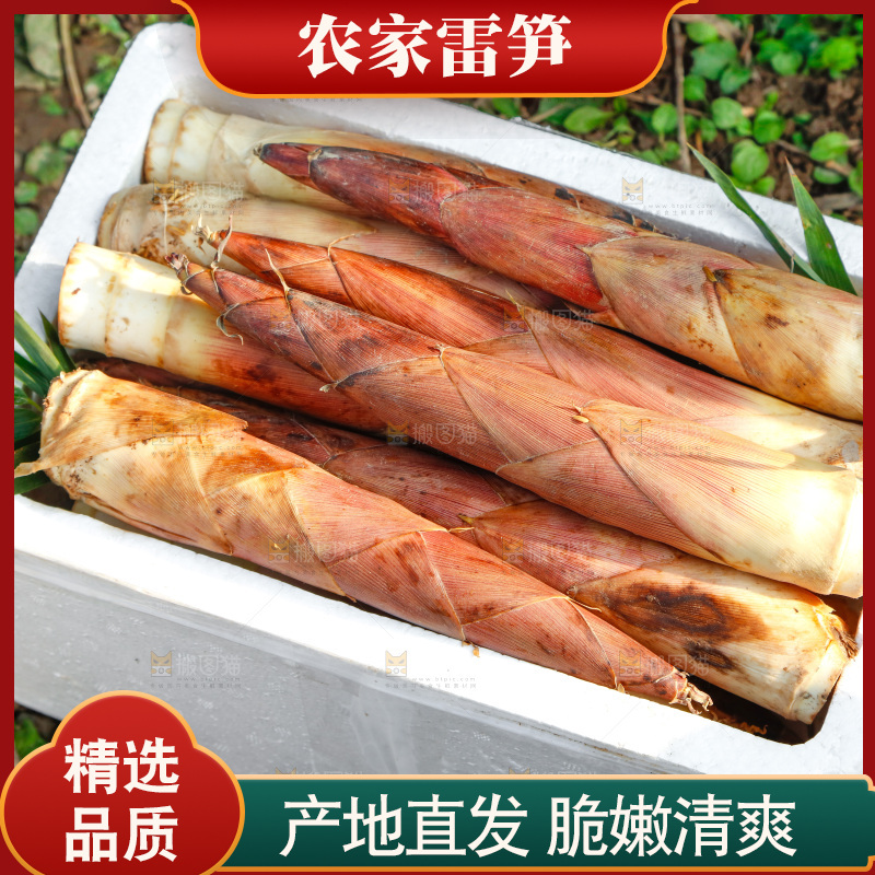 箱子里的雷笋