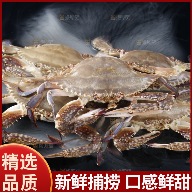 黑底上摆放着海螃蟹