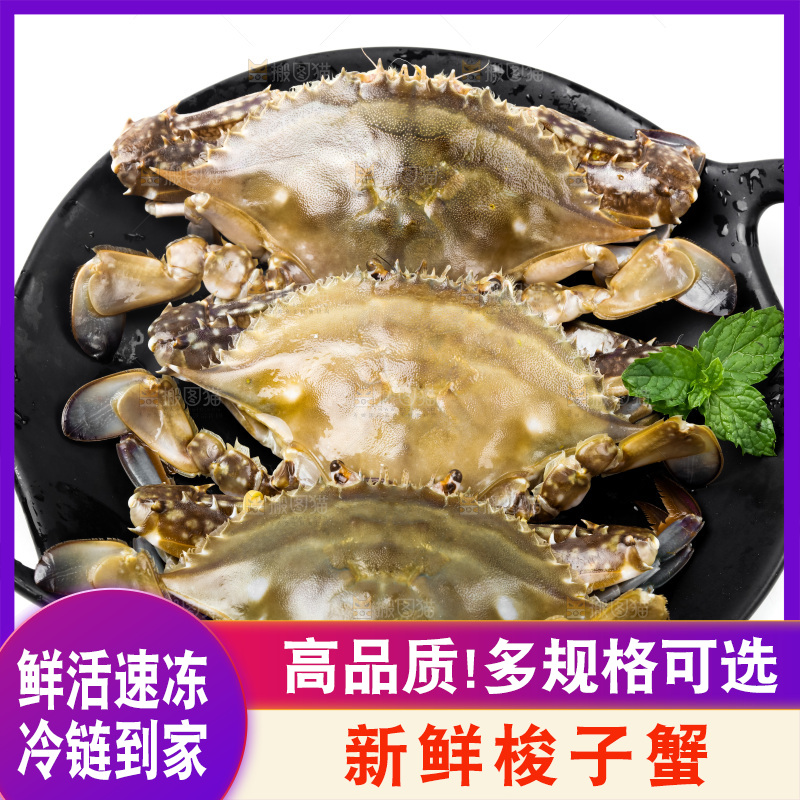 锅里摆放着新鲜梭子蟹