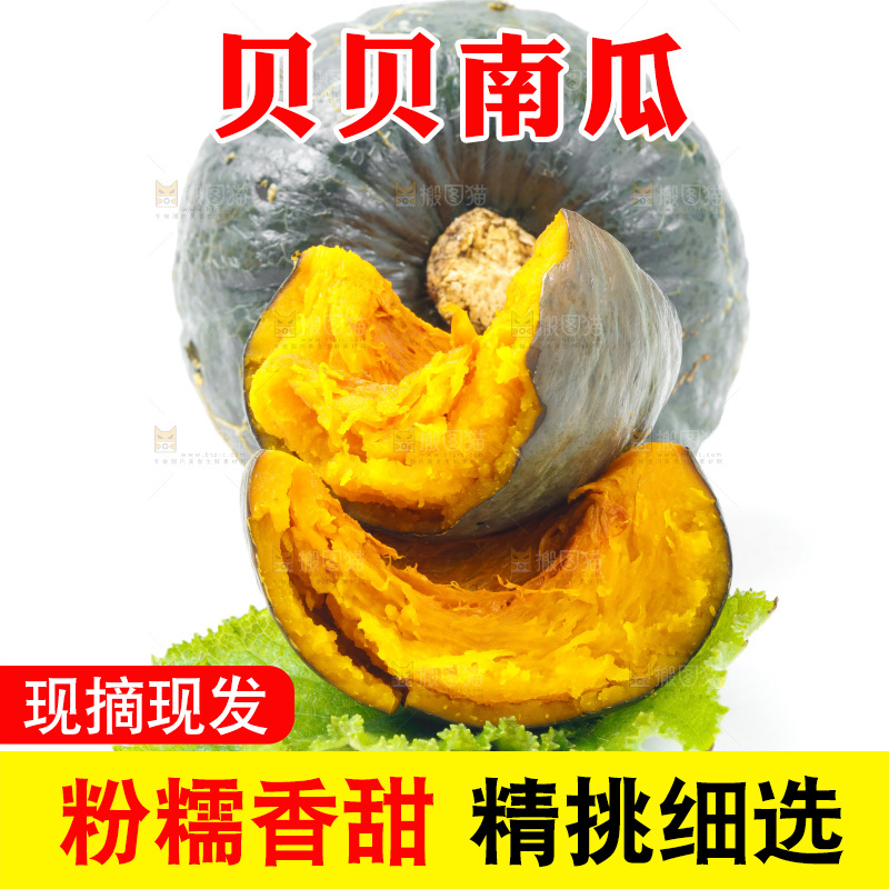 白底上放着贝贝小南瓜