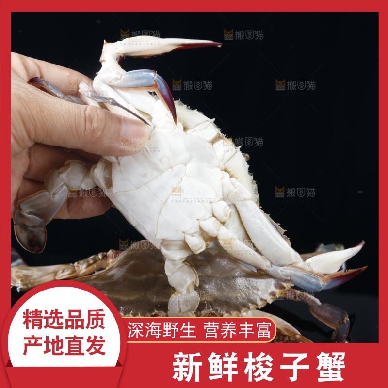 手里拿着海蟹