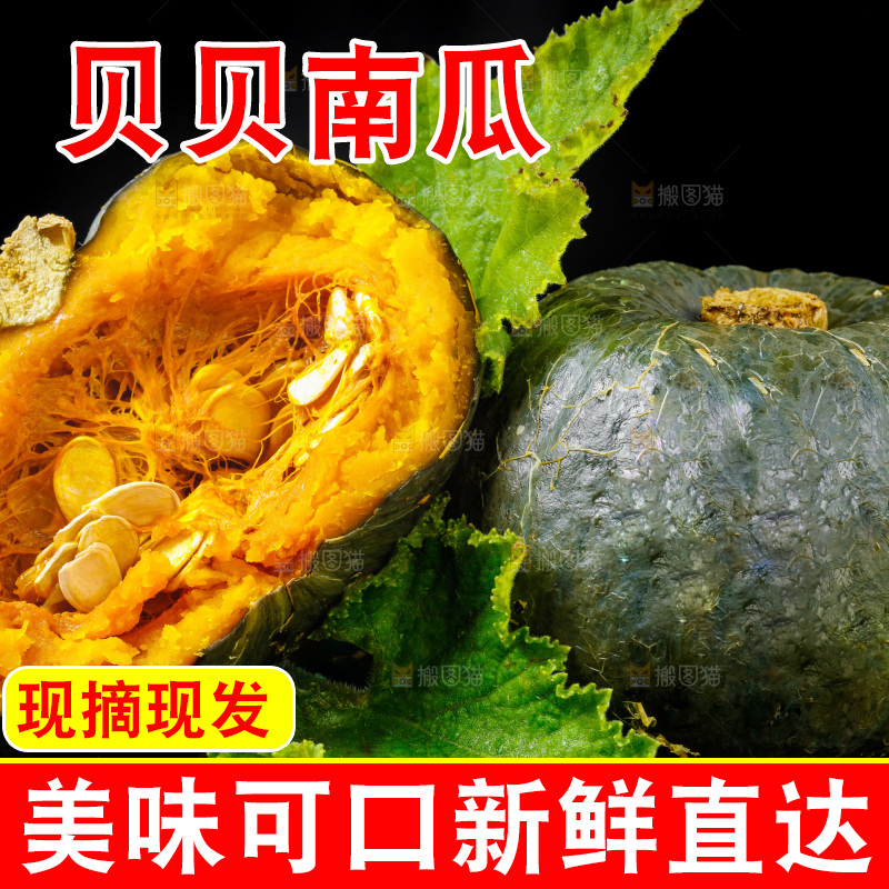 黑底上摆放着绿贝贝南瓜