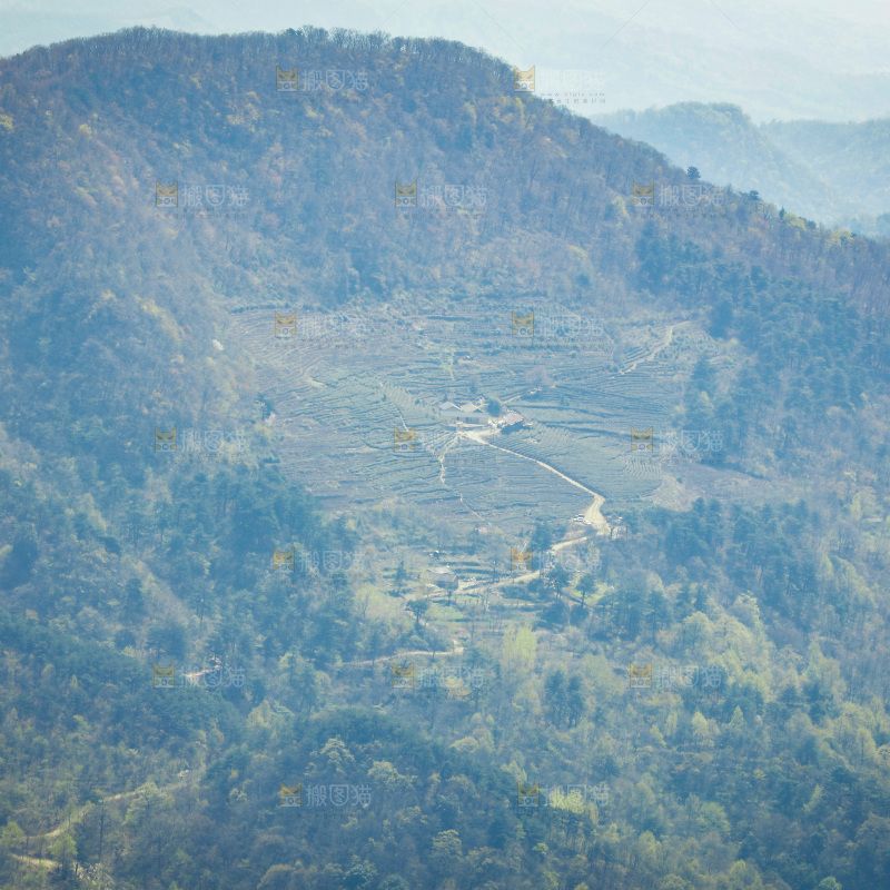 一片大山