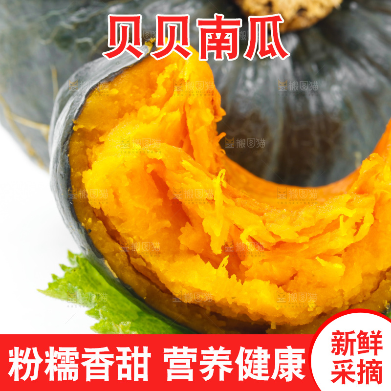 白底上放着贝贝小南瓜