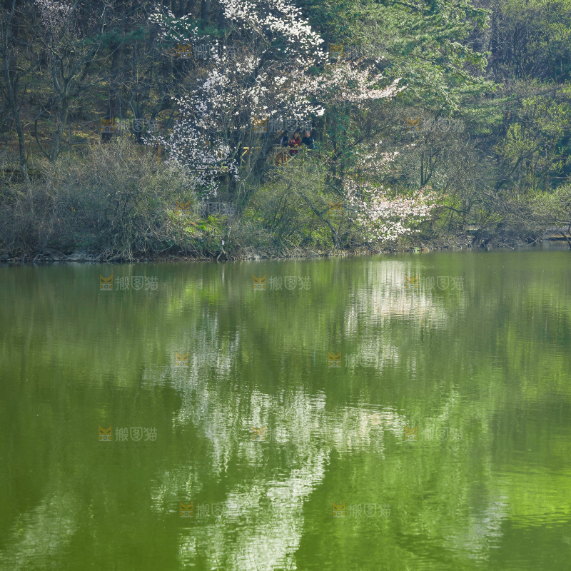 湖泊里的水