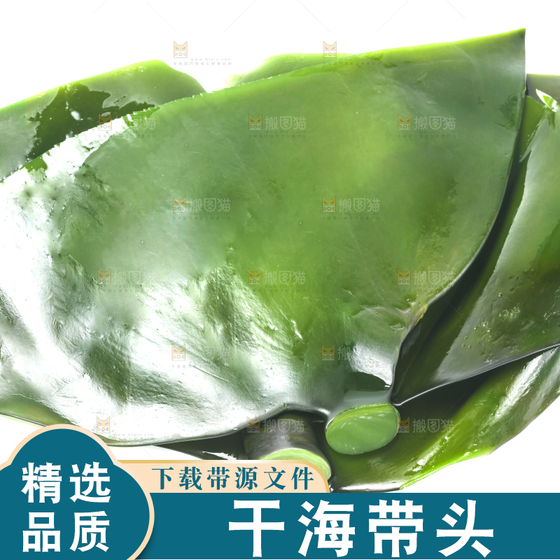 白底上摆放着海带头