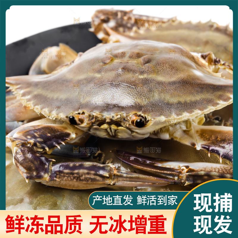 锅里摆放着新鲜梭子蟹