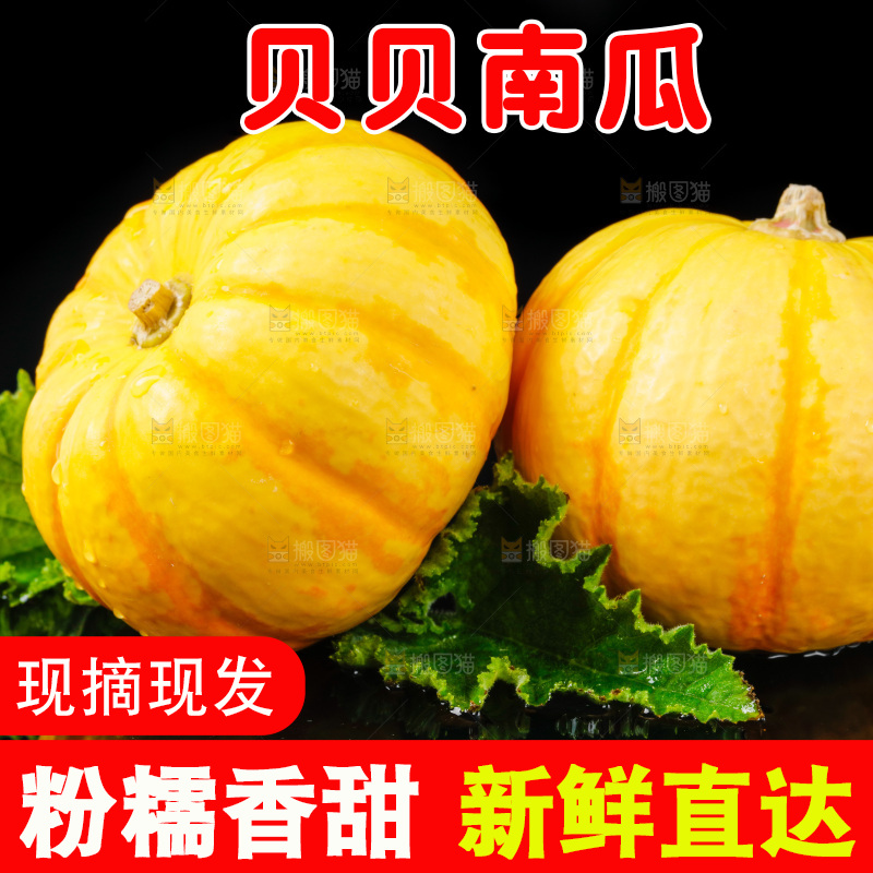 黑底上摆放着金银桔南瓜