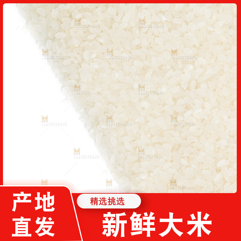 大米背景纹理