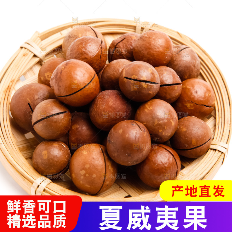白底上的夏威夷果