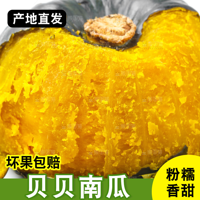 白底上摆放着板栗南瓜