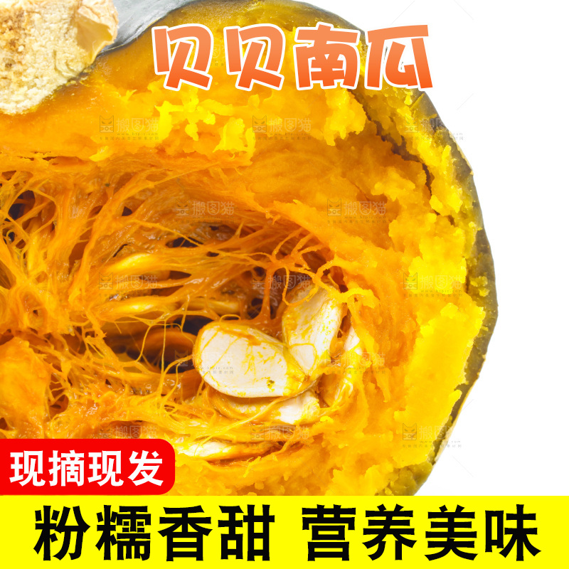 白底上放着贝贝小南瓜