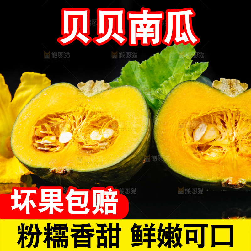 深底上摆放着贝贝小南瓜