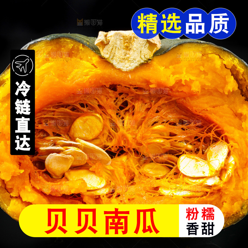 黑底上摆放着绿贝贝南瓜