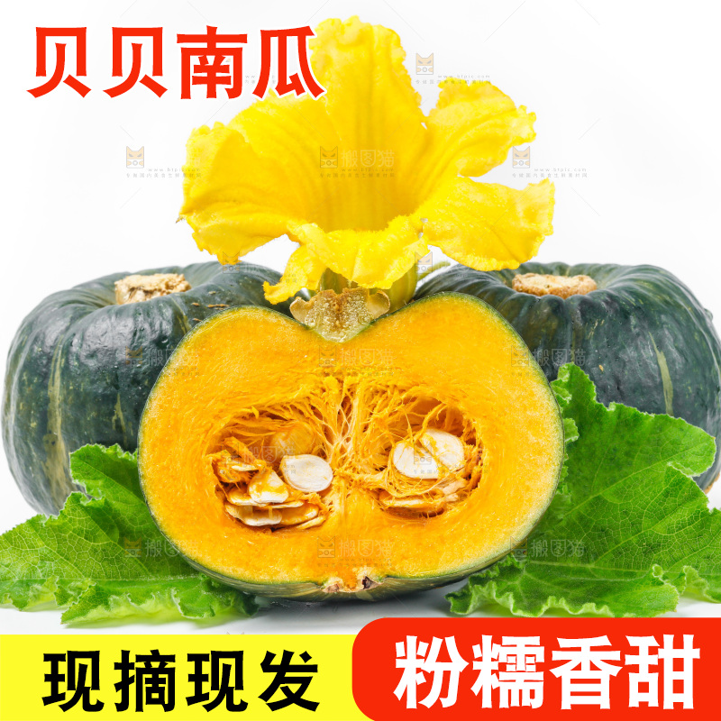 白底上摆放着贝贝南瓜