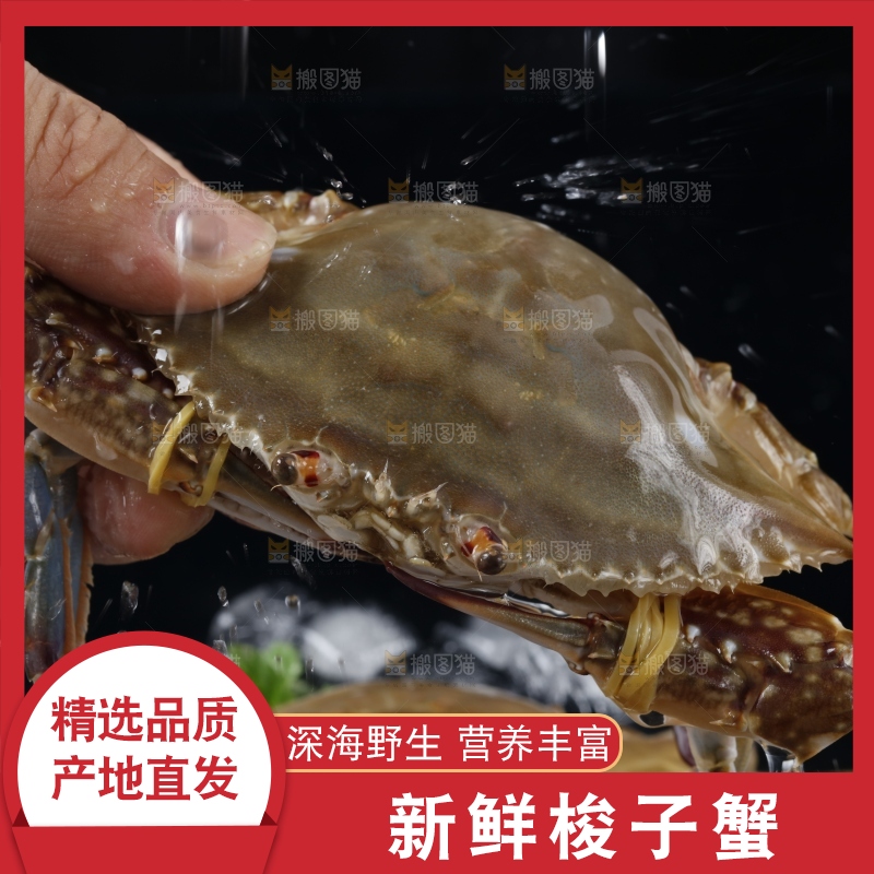 手里拿着梭子蟹