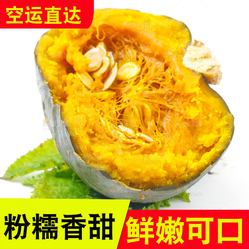 白底上放着贝贝小南瓜