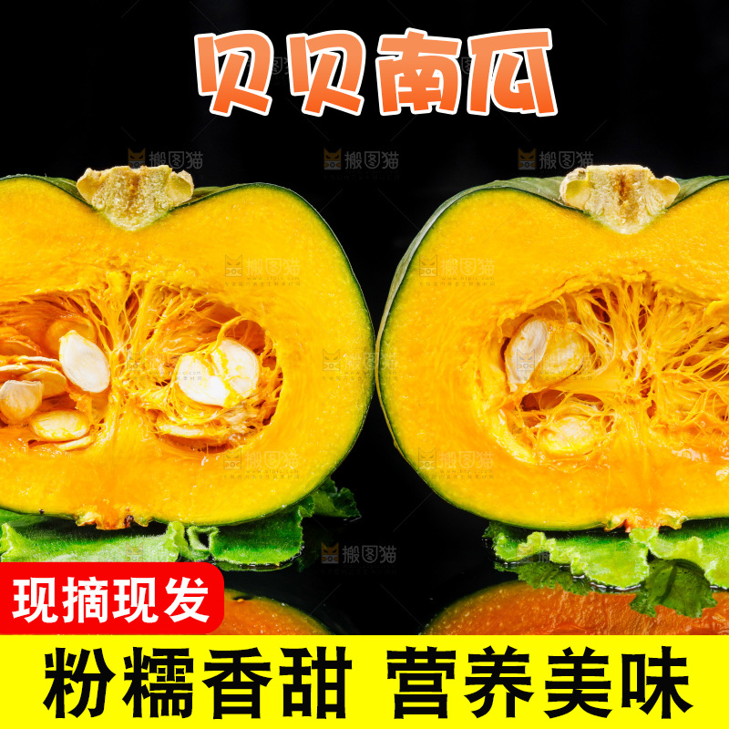 深底上摆放着贝贝小南瓜