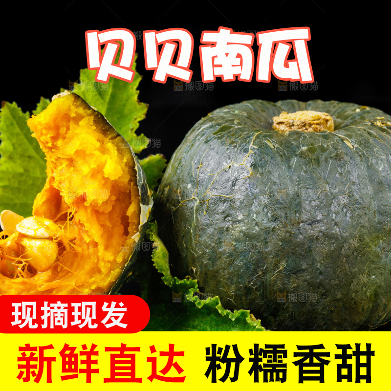 黑底上摆放着绿贝贝南瓜