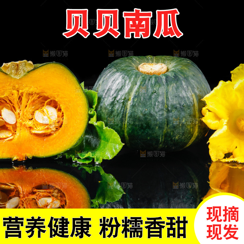 深底上摆放着贝贝小南瓜