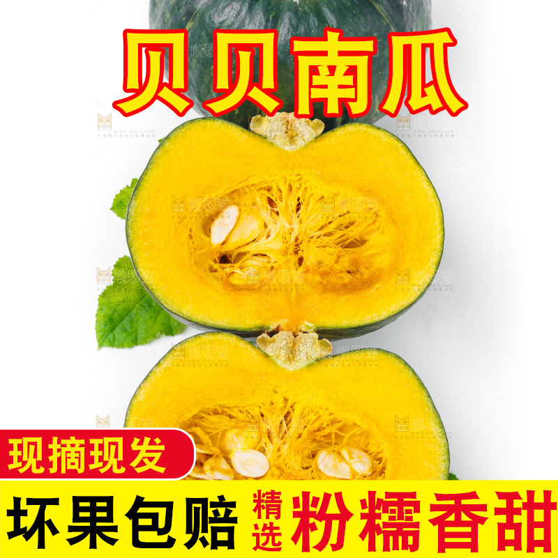 白底上摆放着贝贝南瓜