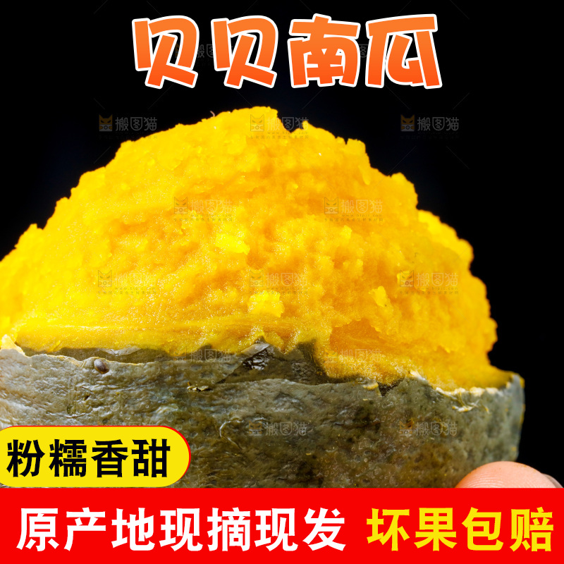 手里拿着贝贝南瓜