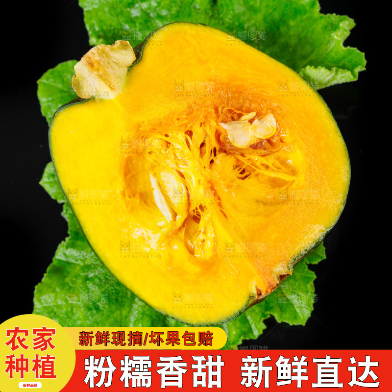 黑底上摆放着板栗南瓜