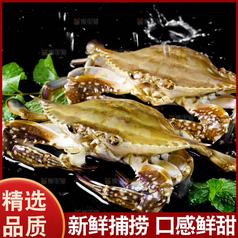 黑底上摆放着海螃蟹